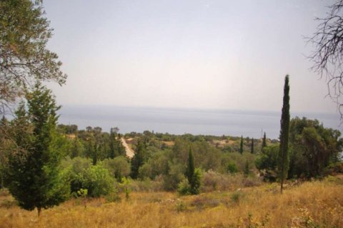 Land in Zakynthos, Greece No. 104874 7