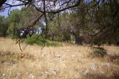 Land in Zakynthos, Greece No. 104874 12
