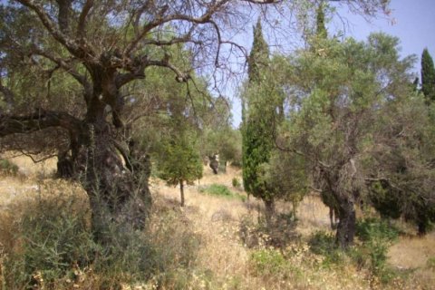 Land in Zakynthos, Greece No. 104874 13