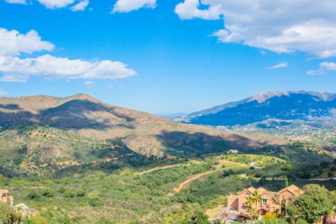 4 bedrooms Villa in Tan Xuan, Vietnam No. 27154 5