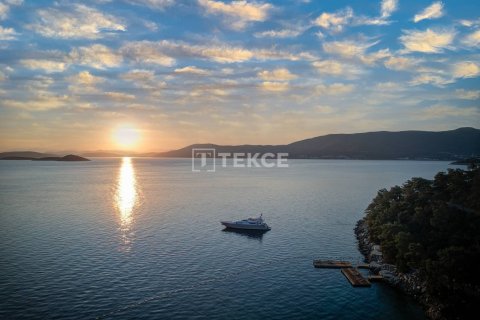 4 bedrooms Apartment in Phi Dien, Vietnam No. 10836 6