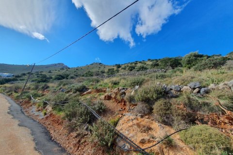 27671m² Land in Lasithi, Greece No. 55709 3
