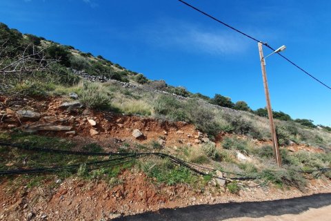 27671m² Land in Lasithi, Greece No. 55709 4