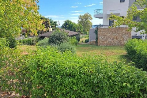 Таунхаус с 3 спальнями в Халкидики, Греция №65179 4