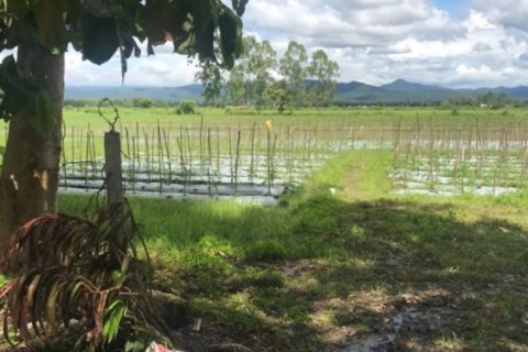 20 bedrooms Land in Chiang Mai, Thailand No. 1478 4