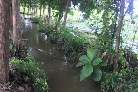 20 bedrooms Land in Chiang Mai, Thailand No. 1478 6