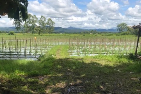 20 bedrooms Land in Chiang Mai, Thailand No. 1478 3