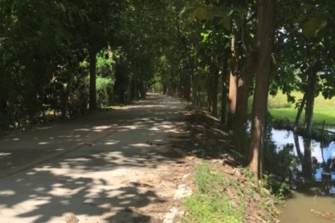 20 bedrooms Land in Chiang Mai, Thailand No. 1478 5