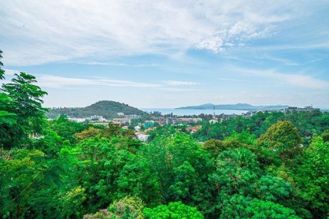 4 bedrooms Villa in Surin Beach, Thailand No. 96742 24