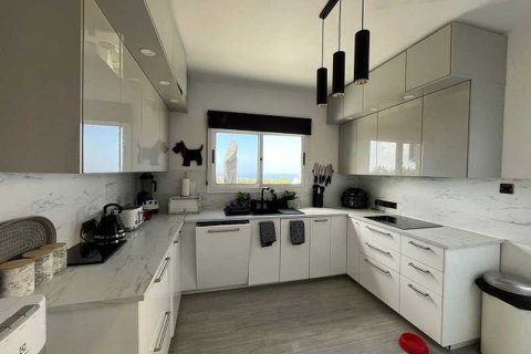 4 dormitorios Villa en Tala, Cyprus No. 84427 3