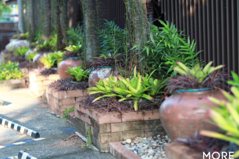 42 dormitorios Commercial property en Chiang Mai, Thailand No. 97877 28