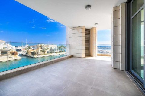 4 bedrooms Apartment in Limassol, Cyprus No. 43546 13