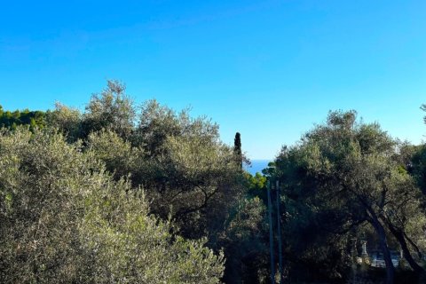 6 bedrooms Villa in Corfu, Greece No. 116699 3