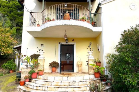 6 bedrooms Villa in Corfu, Greece No. 116699 5