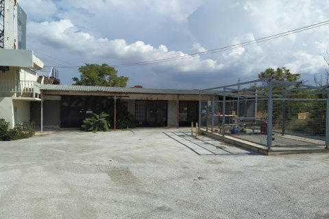 Коммерческая недвижимость 800м² в Mygdonia, Греция №56979 2