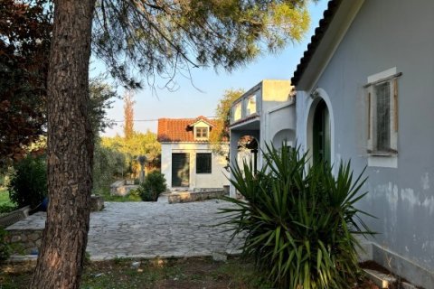 Дом 350м² в Закинтос, Греция №108888 25