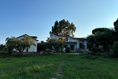 Дом 350м² в Закинтос, Греция №108888 16