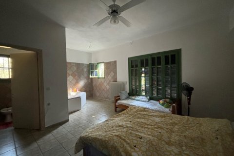 Дом 350м² в Закинтос, Греция №108888 9