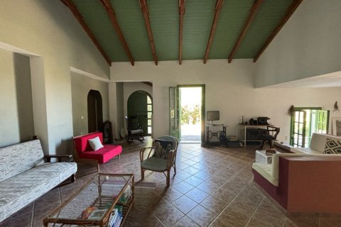 Дом 350м² в Закинтос, Греция №108888 19