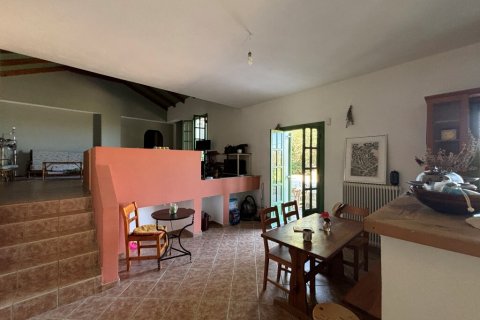 Дом 350м² в Закинтос, Греция №108888 3