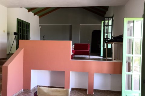 Дом 350м² в Закинтос, Греция №108888 4