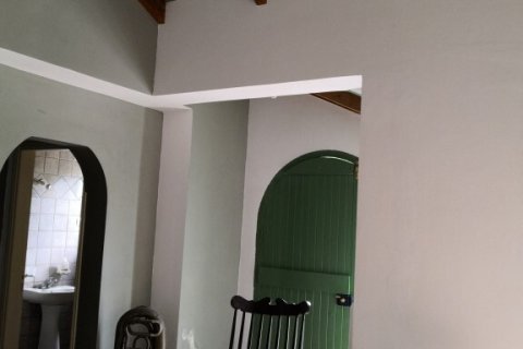 Дом 350м² в Закинтос, Греция №108888 14