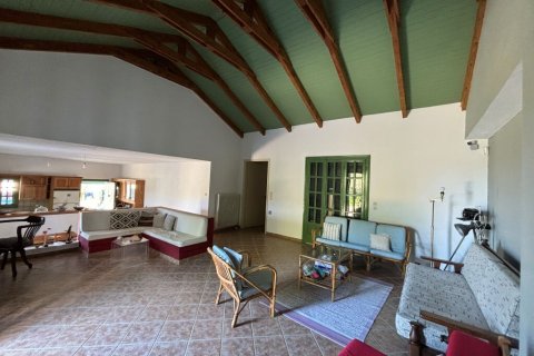 Дом 350м² в Закинтос, Греция №108888 21