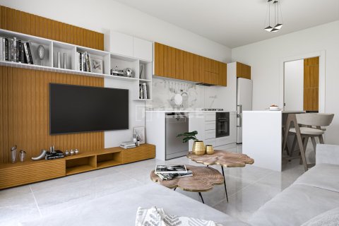 Пентхаус с 2 спальнями в Phu Ngai, Вьетнам №23668 19