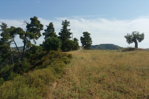 Земельный участок 4062м² в Халкидики, Греция №58097 9