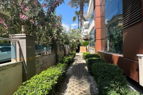 3 rooms Apartment in Chau Lang, Vietnam No. 21518 8