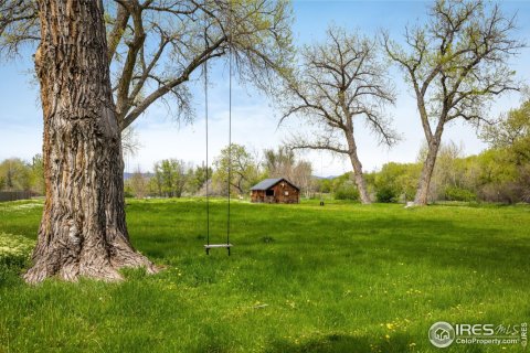 3 chambres House à Longmont, USA No. 83402 8