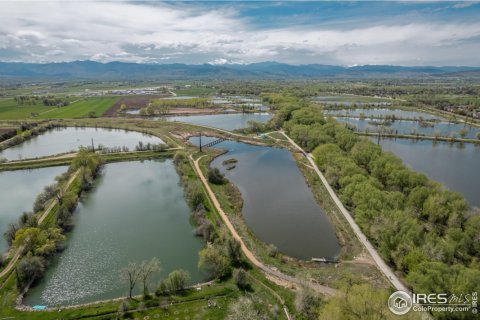 3 chambres House à Longmont, USA No. 83402 13