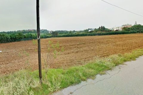 6000m² Land à Oraiokastro, Greece No. 57732 3