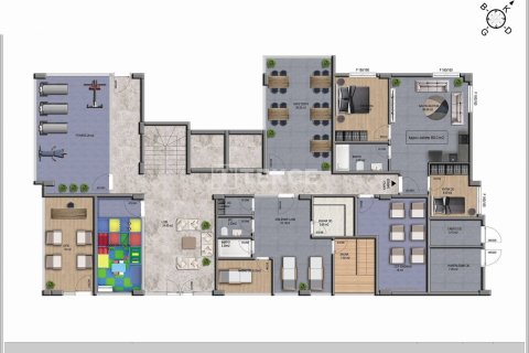 3 bedrooms Penthouse in Chau Lang, Vietnam No. 11011 29