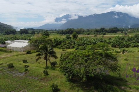 4 bedrooms House in Chiang Mai, Thailand No. 97464 14