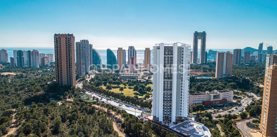 3 bedrooms Penthouse in Tung Chung Pho, Vietnam No. 26521