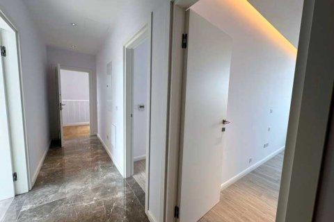 Квартира с 4 спальнями в Лимассол, Кипр №81405 13