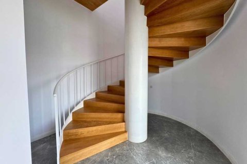 Квартира с 4 спальнями в Лимассол, Кипр №81405 3