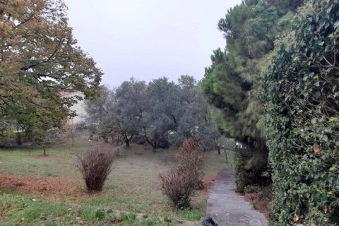 Дом с 5 спальнями в Салоники, Греция №113009 28