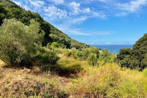 4012m² Land in Corfu, Greece No. 110042 3