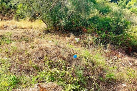4012m² Land in Corfu, Greece No. 110042 14