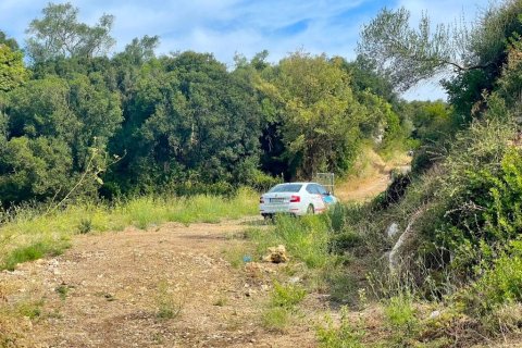 4012m² Land in Corfu, Greece No. 110042 6