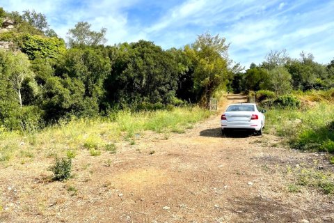 4012m² Land in Corfu, Greece No. 110042 4