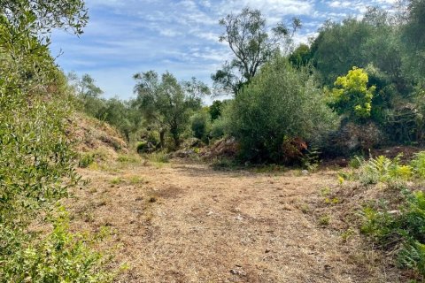 4012m² Land in Corfu, Greece No. 110042 8
