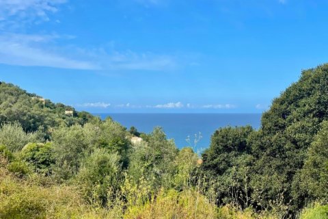 4012m² Land in Corfu, Greece No. 110042 2