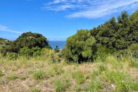 4012m² Land in Corfu, Greece No. 110042 15