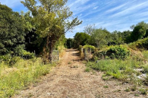 4012m² Land in Corfu, Greece No. 110042 5