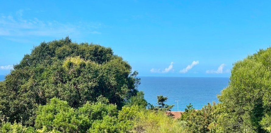 4012m² Land en Corfu, Greece No. 110042