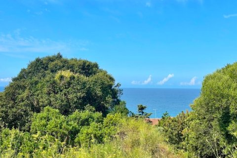 4012m² Land en Corfu, Greece No. 110042