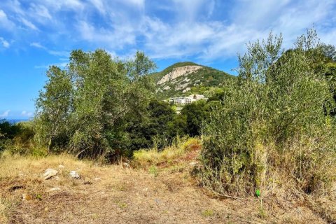 4012m² Land in Corfu, Greece No. 110042 7